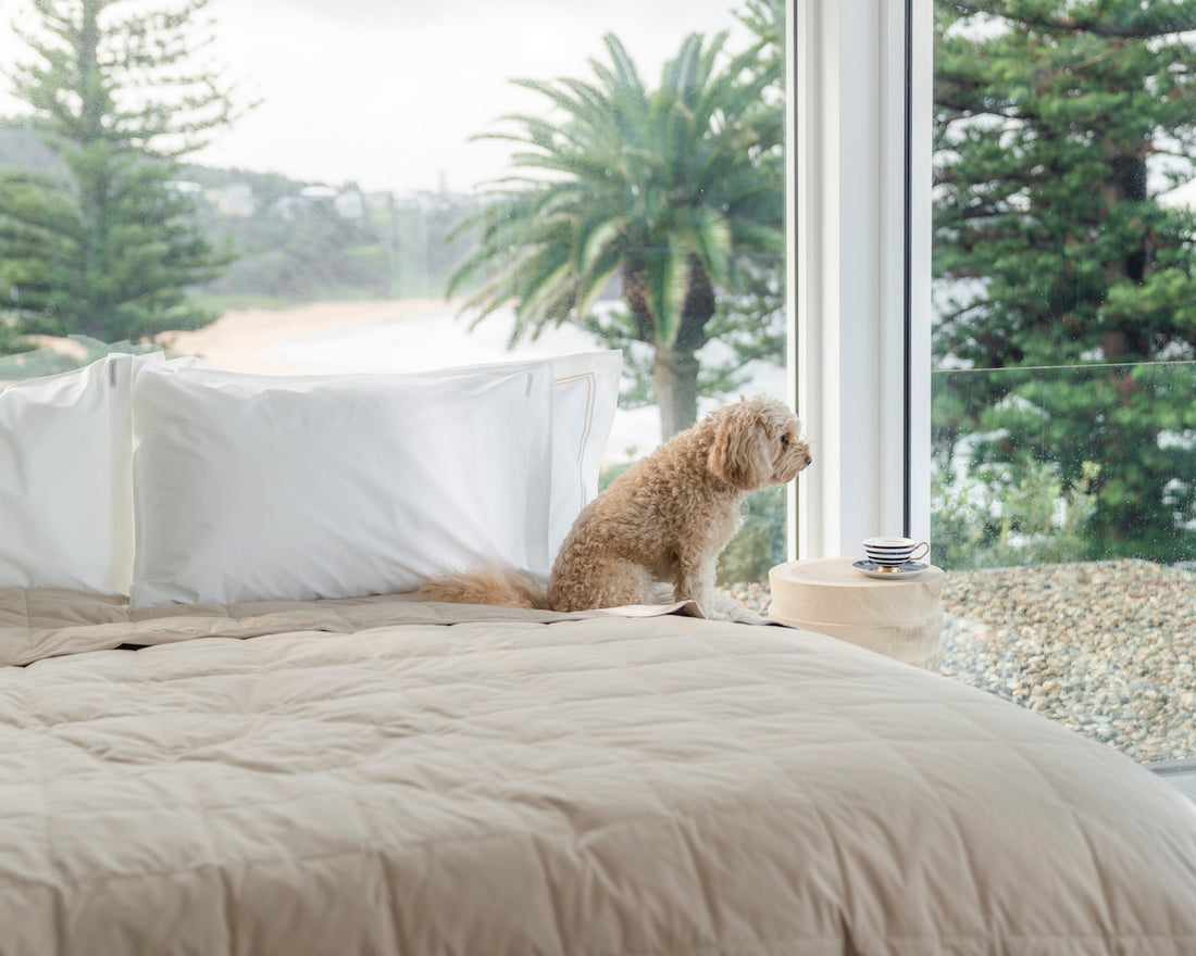 Spring Cleaning Tips to Tackle Allergies: Why ecolinen’s Waterproof Mattress and Pillow Protectors are Your New Best Friends