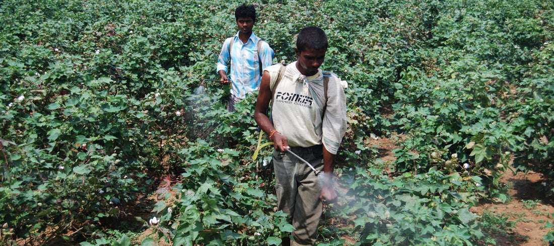 What Are Non-Toxic Bed Sheets? (And Why It Matters)