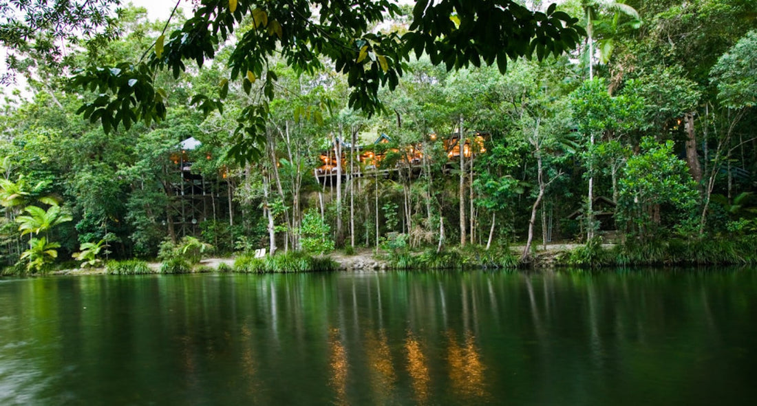 Silky Oaks Lodge, Daintree Rainforest